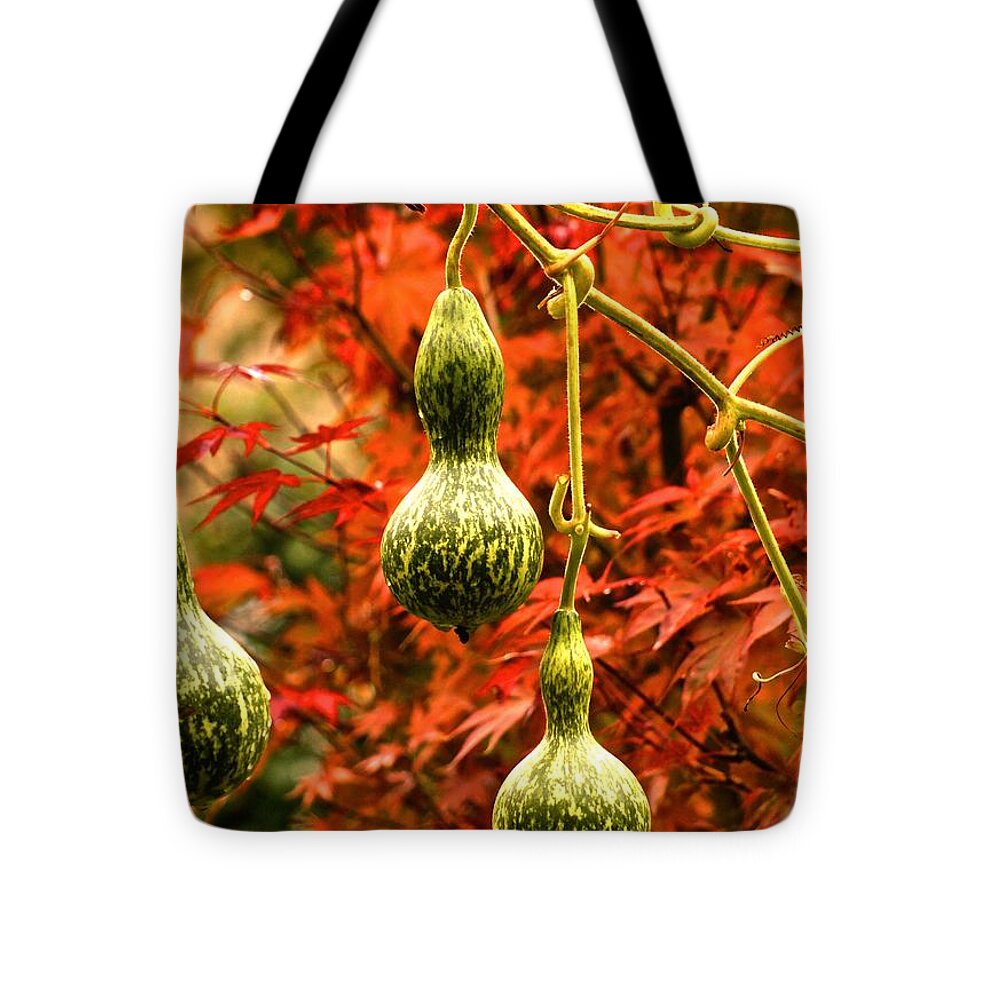 Autumn Tote Bag featuring the photograph Autumn Scene 2022 by Richard Cummings
