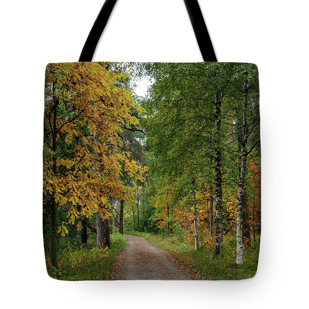Autumn Tote Bag featuring the photograph Autumn season forest landscape by Michalakis Ppalis