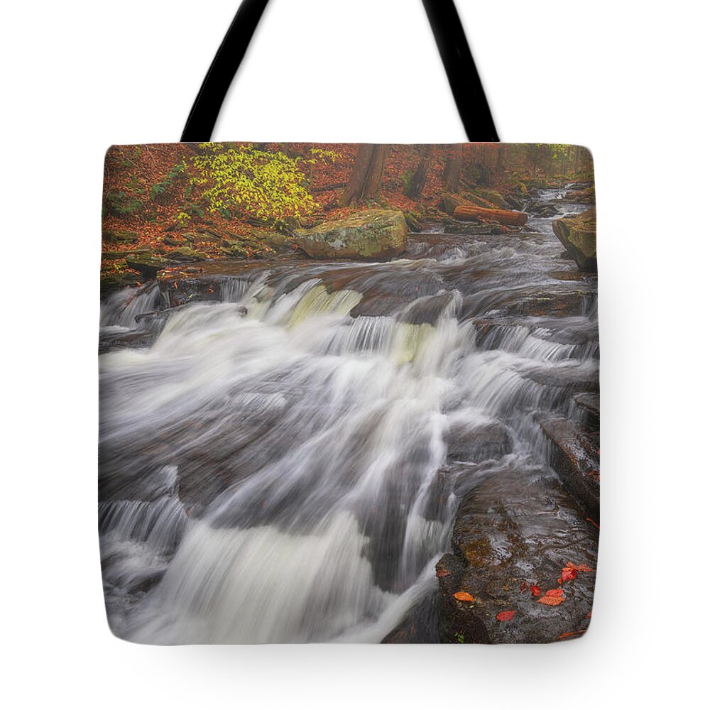 Fall Colors Tote Bag featuring the photograph Autumn Slide by Darren White