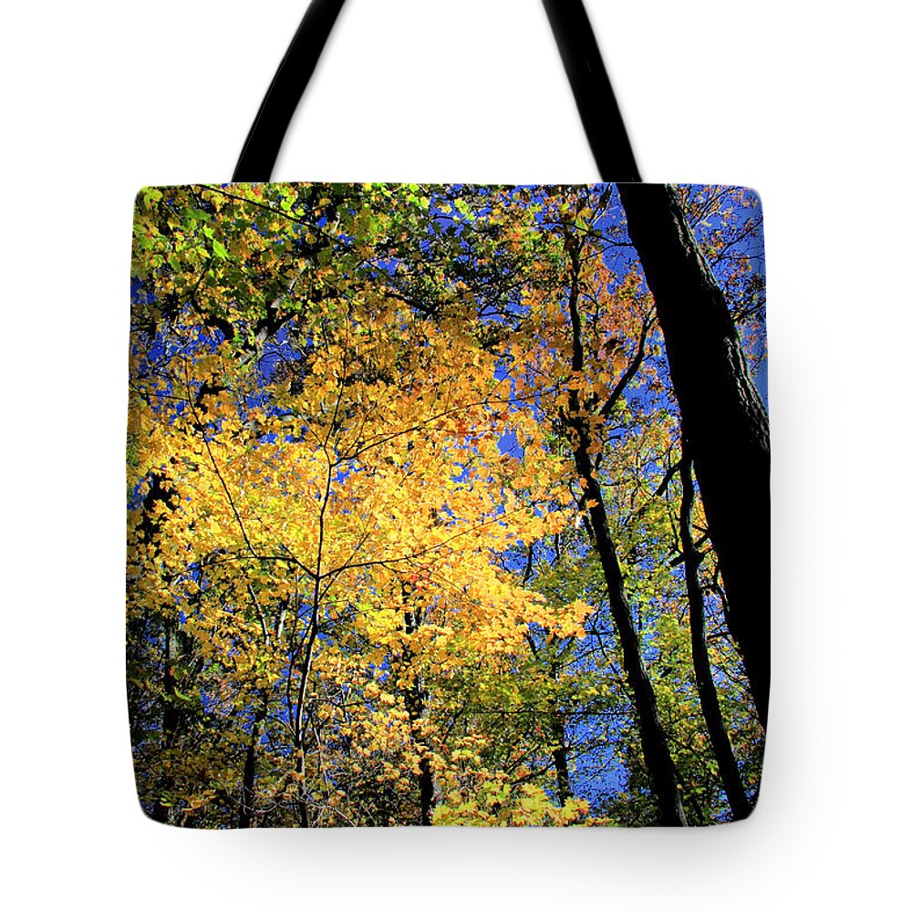 Autumn Tote Bag featuring the photograph Autumn Splendor by Steve Ember