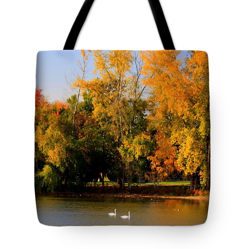Fall Tote Bag featuring the photograph Autumn splendor with swans by Lennie Malvone