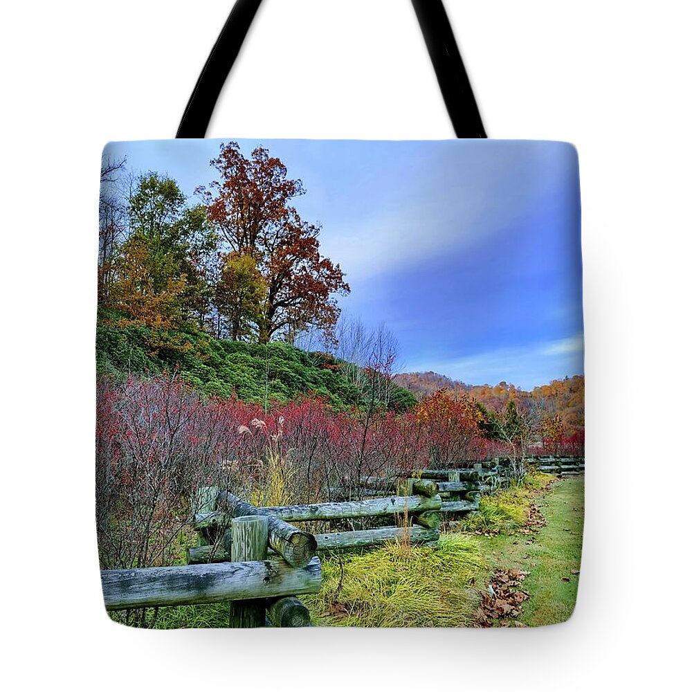 Autumn Tote Bag featuring the photograph Autumn Still by Allen Nice-Webb