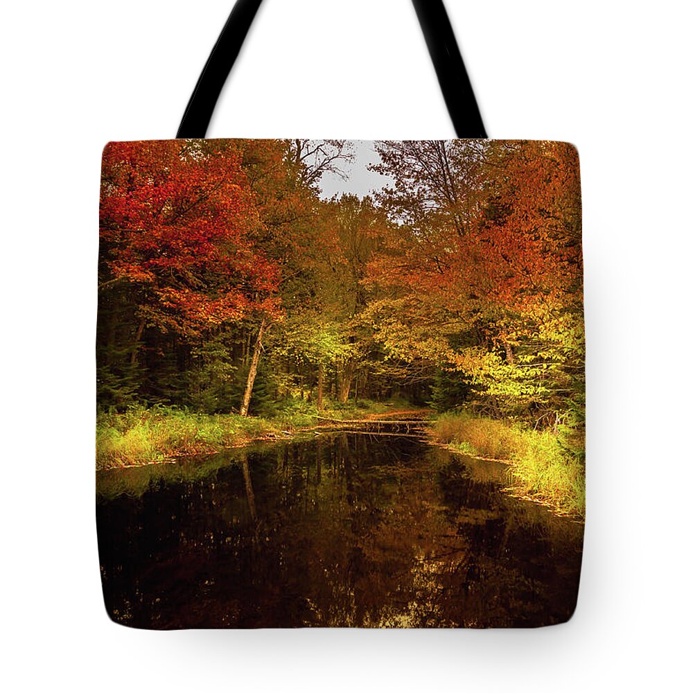 Autumn Stream Tote Bag featuring the photograph Autumn Stream by David Patterson