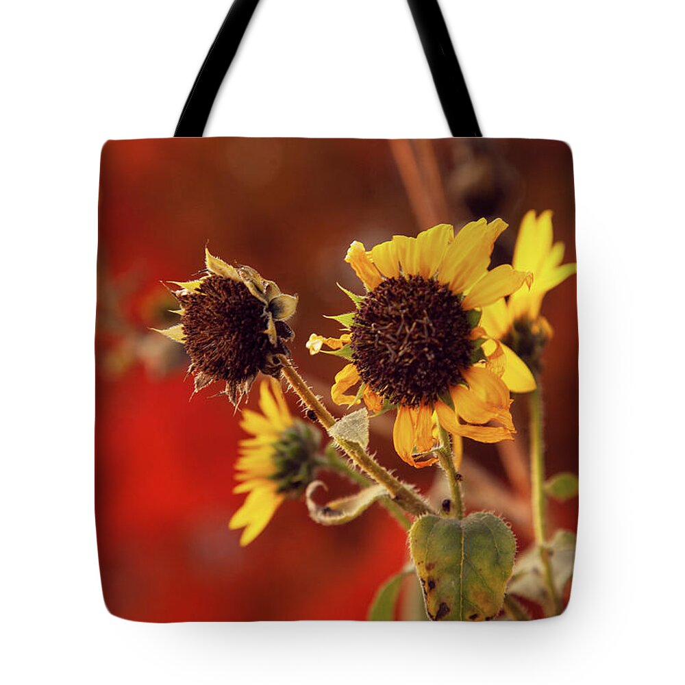 Autumn Tote Bag featuring the photograph Autumn Sunflowers by Toni Hopper