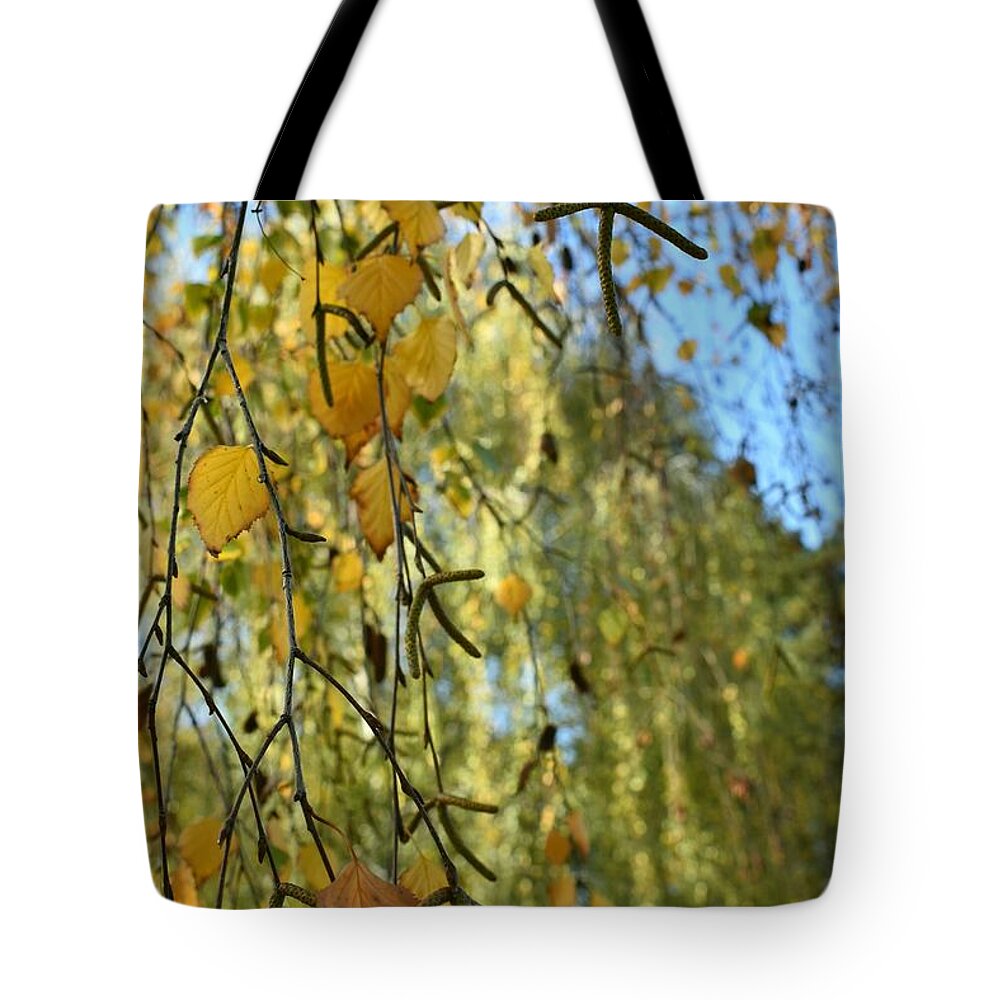 Nature Tote Bag featuring the photograph Autumn Symphony Breeze by Leonida Arte