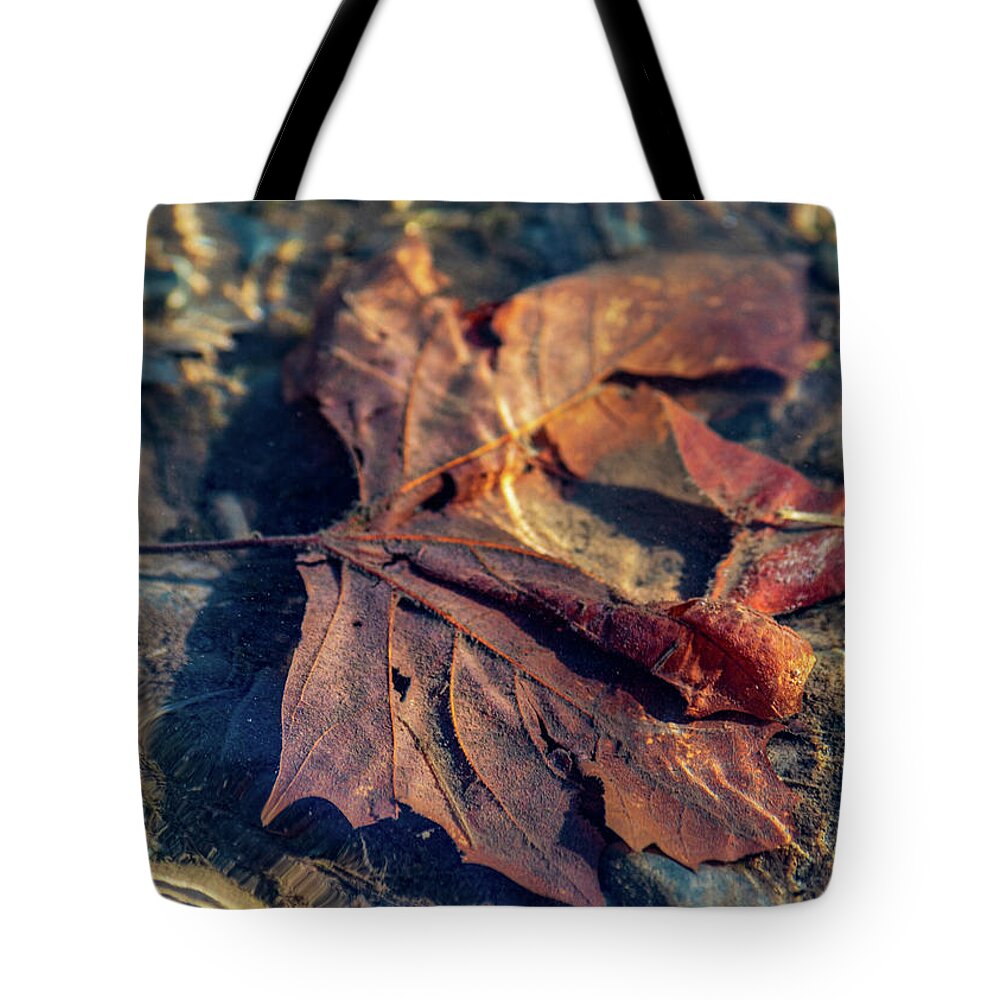 Seasons Tote Bag featuring the photograph Autumn Underwater - Upper Delaware River by Amelia Pearn