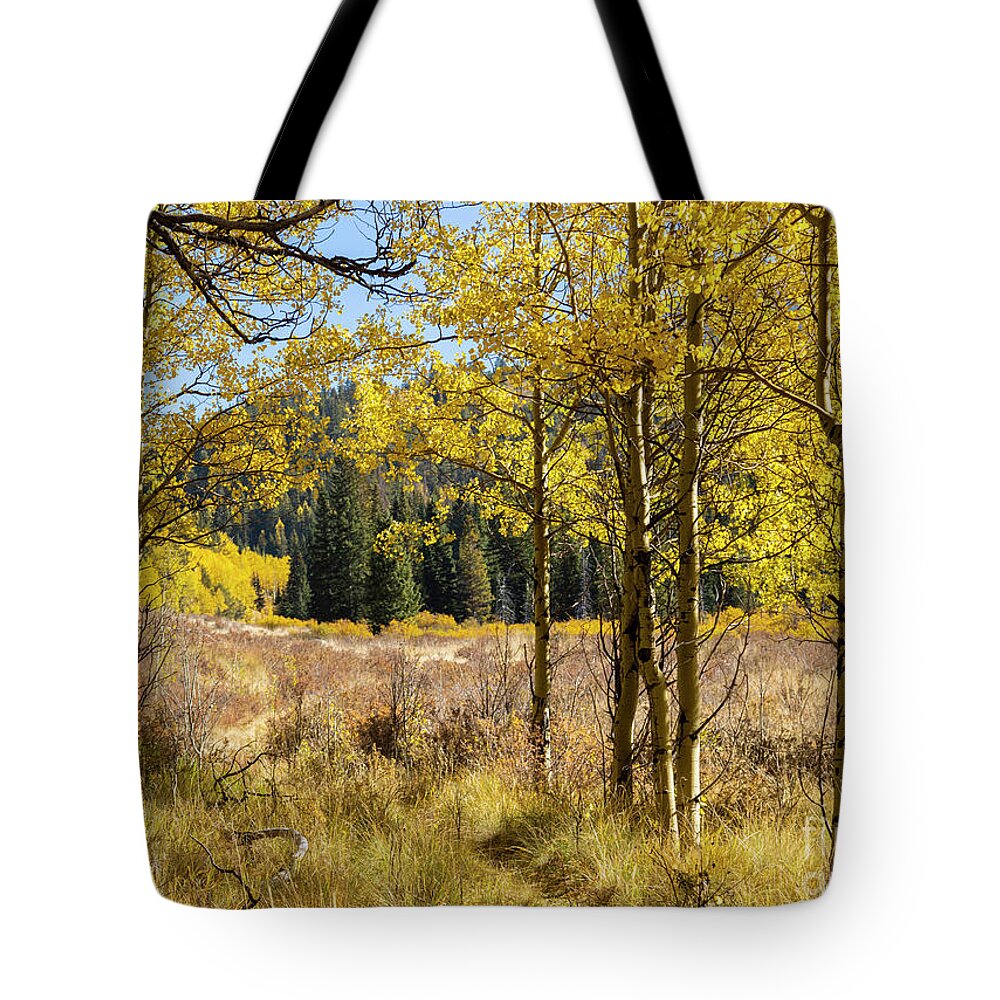 Autumn Tote Bag featuring the photograph Autumn View on Anne-Marie Falls Trail by Steven Krull