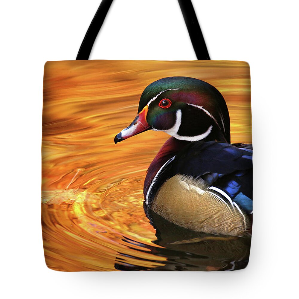  Tote Bag featuring the photograph Autumn Wood Duck by Rob Blair