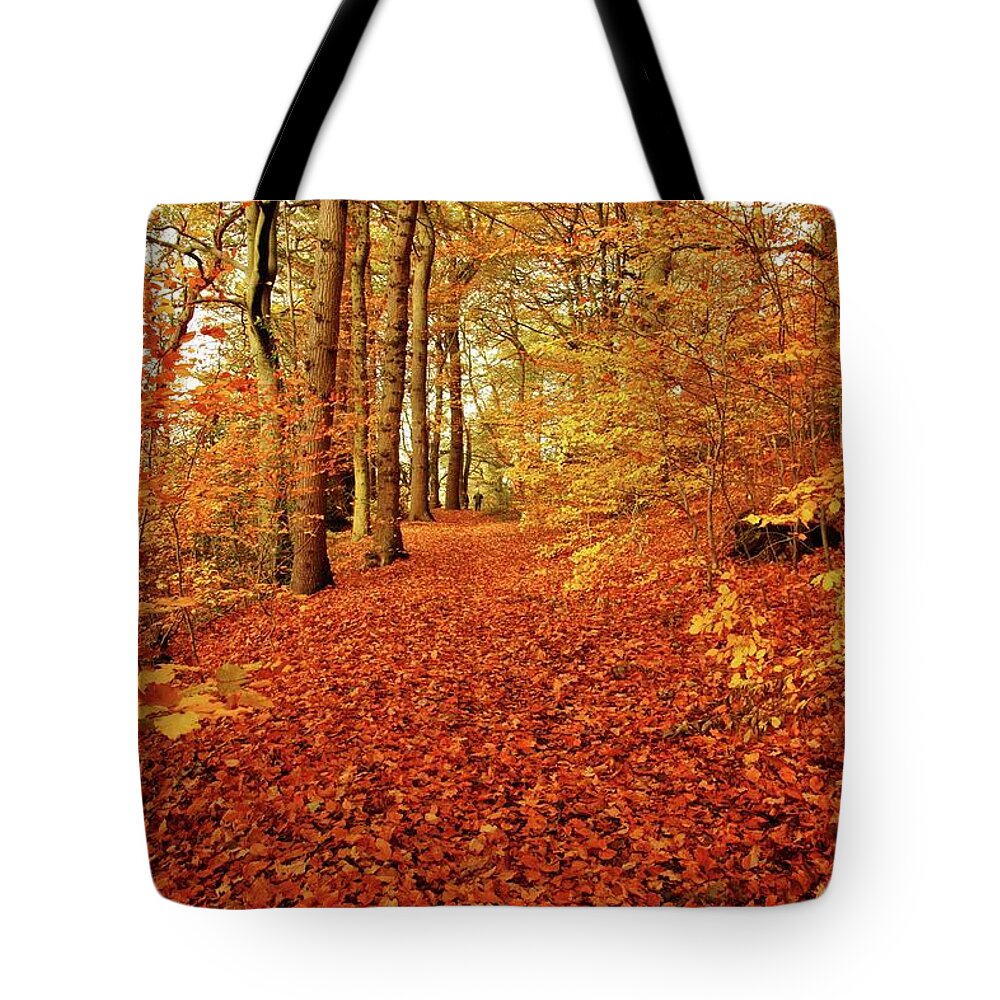 Autumn Tote Bag featuring the photograph Autumn woodland in Derbyshire by David Birchall