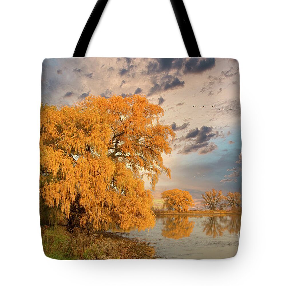 Willow Tote Bag featuring the photograph Autumn's Ending by Marilyn Cornwell