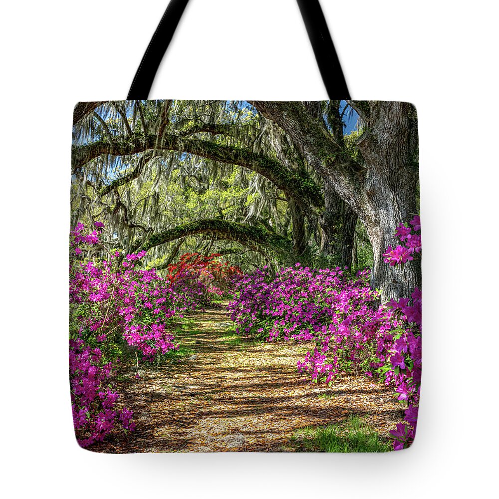 Charleston Tote Bag featuring the photograph Azaleas Under the Oaks III by Jim Miller
