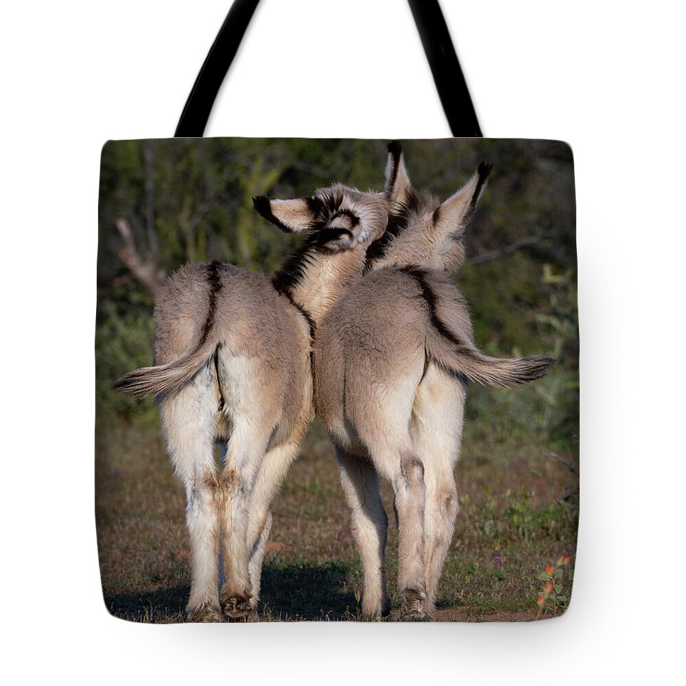 Wild Burros Tote Bag featuring the photograph Baby Burro Butts by Mary Hone