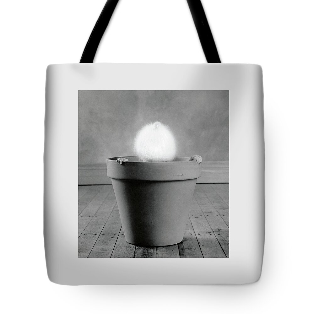 Black & White Tote Bag featuring the photograph Baby Cactus by Anne Geddes