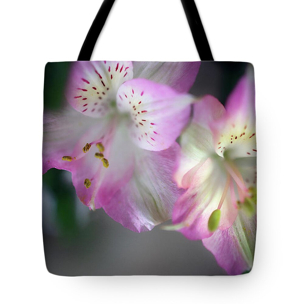Baby Pink Peruvian Lily Tote Bag featuring the photograph Baby Pink Peruvian Lily by Gwen Gibson