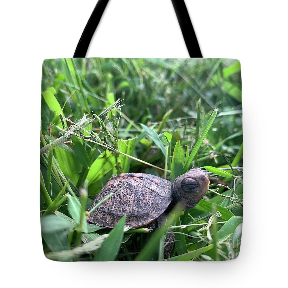  Tote Bag featuring the photograph Baby Turtle by Annamaria Frost