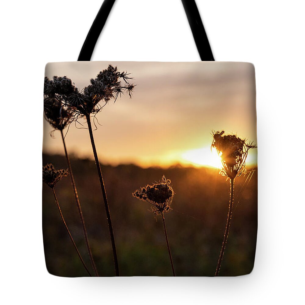 Hopewell Tote Bag featuring the photograph Backlight Burn by Kristopher Schoenleber