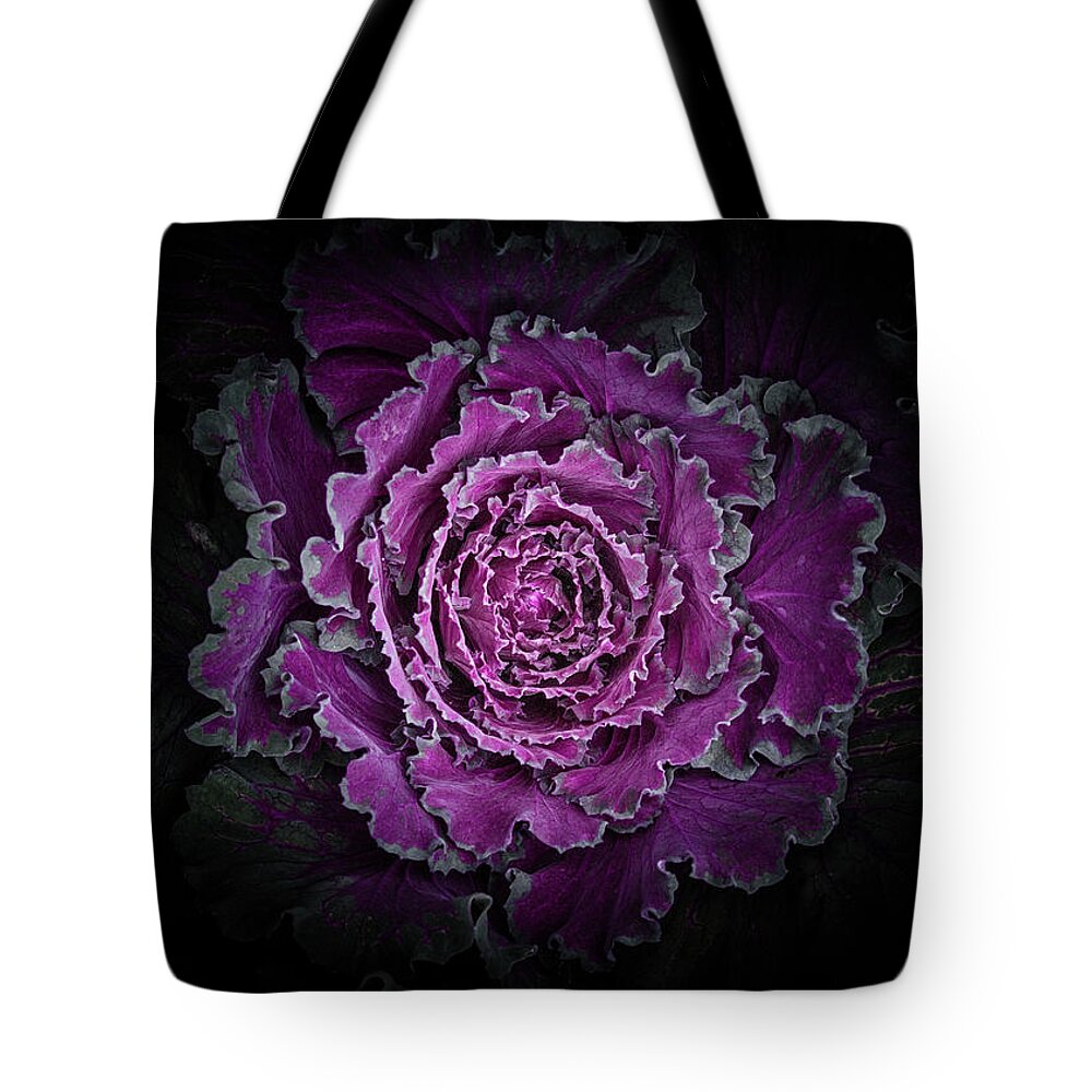 Brian Carson Tote Bag featuring the photograph Backyard Flowers No 97 Color Version by Brian Carson