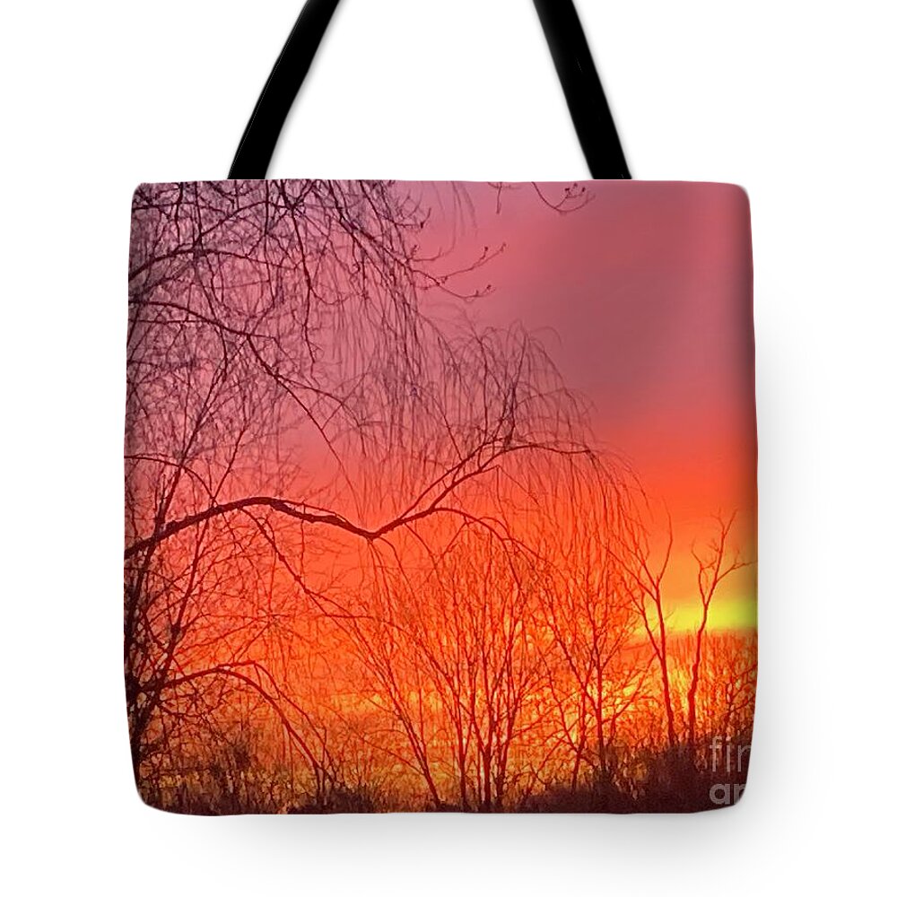  Tote Bag featuring the photograph BackyardSkyShow by Mary Kobet
