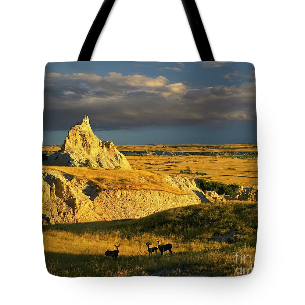 00175613 Tote Bag featuring the photograph Badlands Mule Deer by Tim Fitzharris