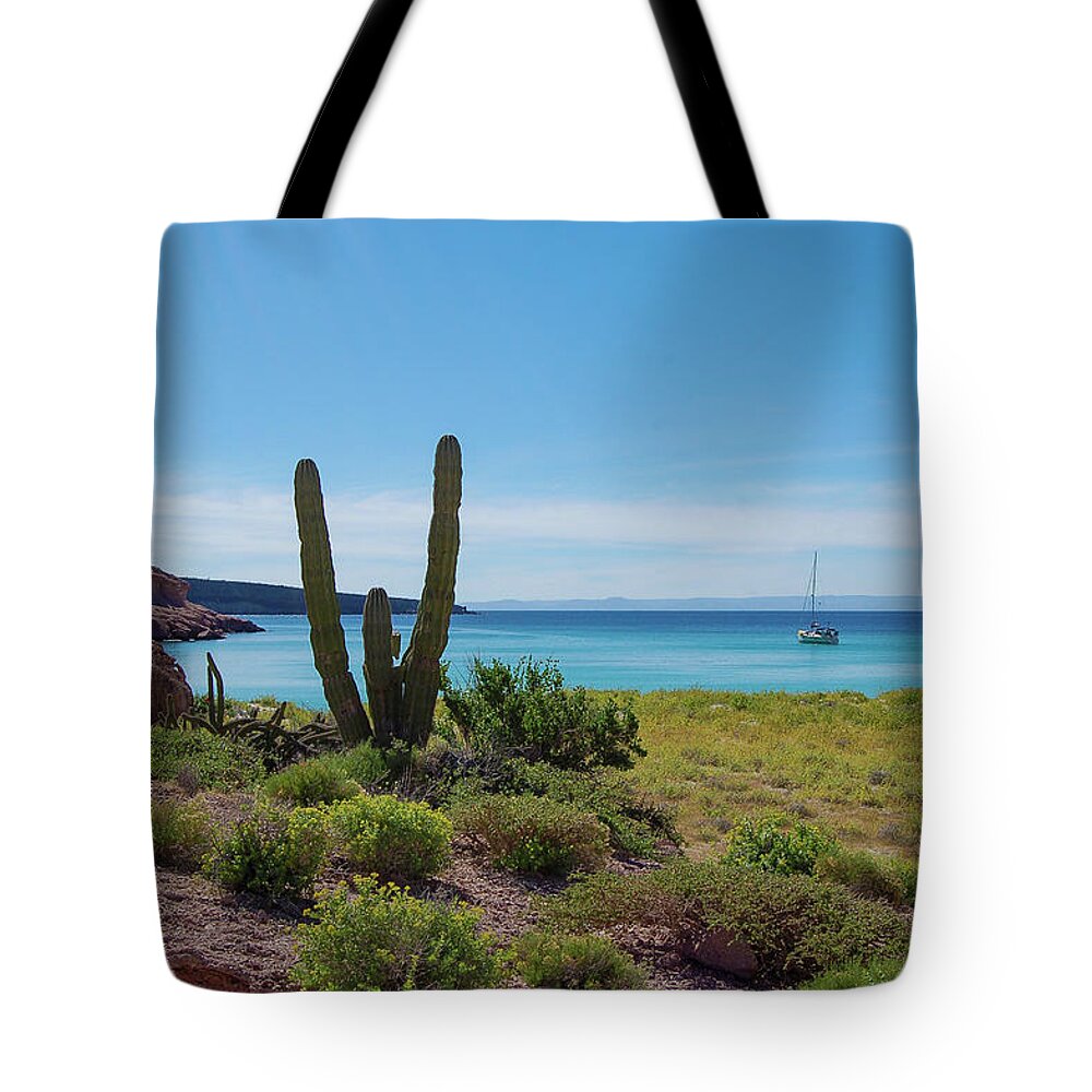 Bahia Ensenada Tote Bag featuring the photograph Bahia Ensenada by William Scott Koenig