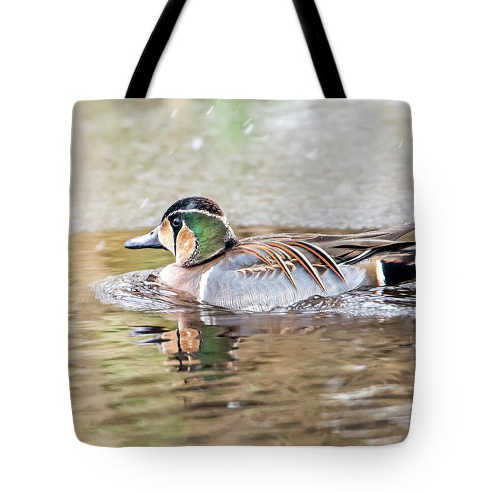 Baikal Teal Tote Bag featuring the photograph Baikal Teal, a beautiful and rare visitor in Sweden by Torbjorn Swenelius