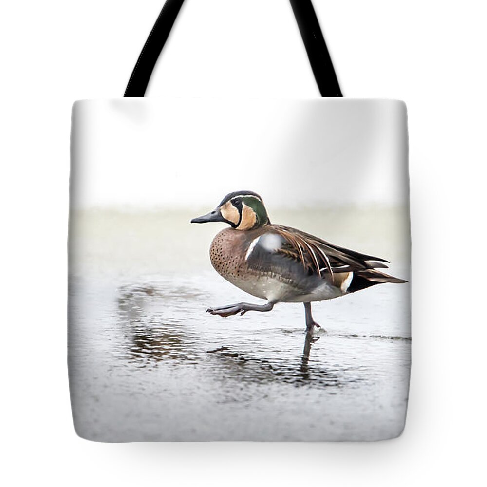 Baikal Teal Tote Bag featuring the photograph Baikal Teal, the beautiful and rare visitor in Sweden, walks wit by Torbjorn Swenelius