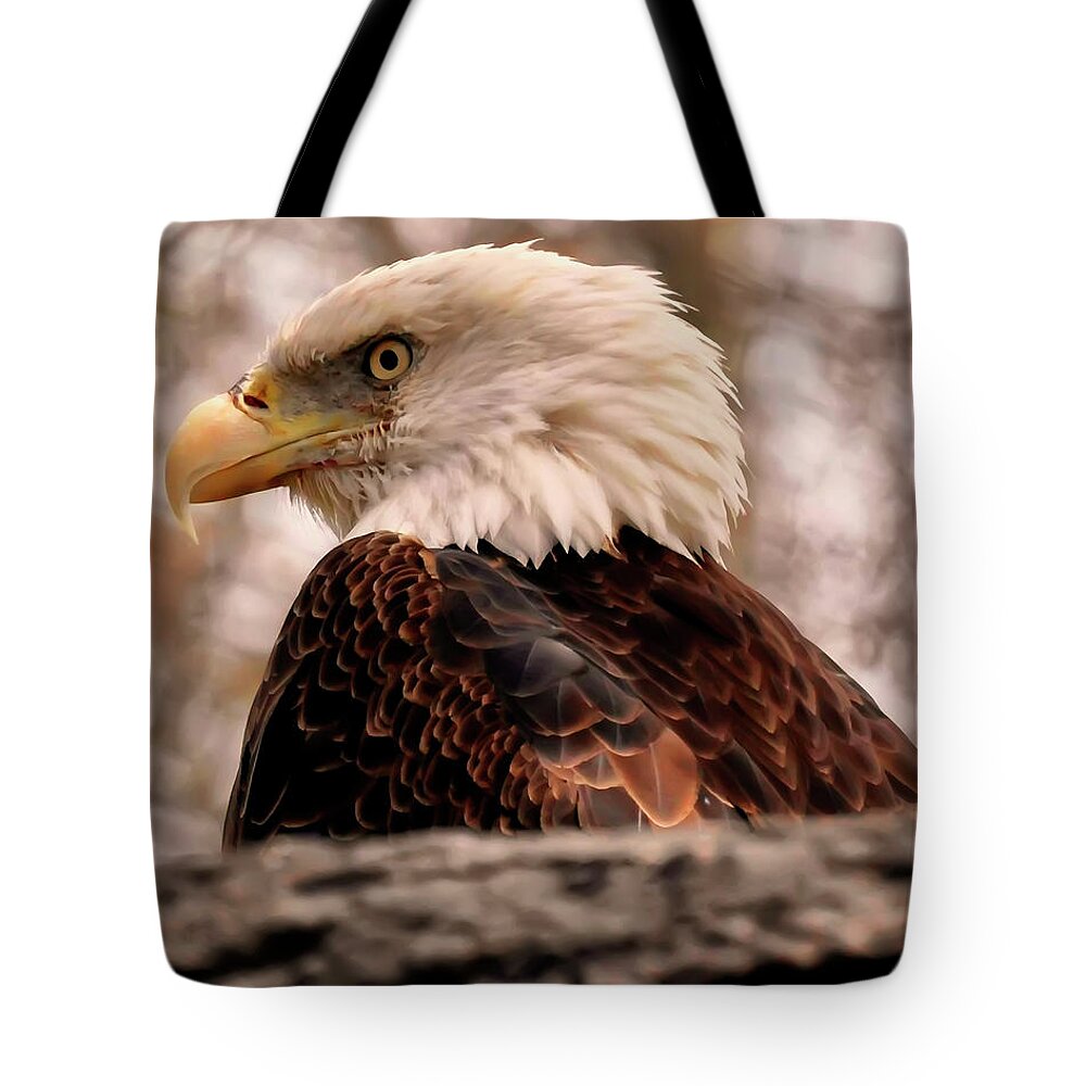 Bird Tote Bag featuring the photograph Bald Eagle In A Tree by Flees Photos