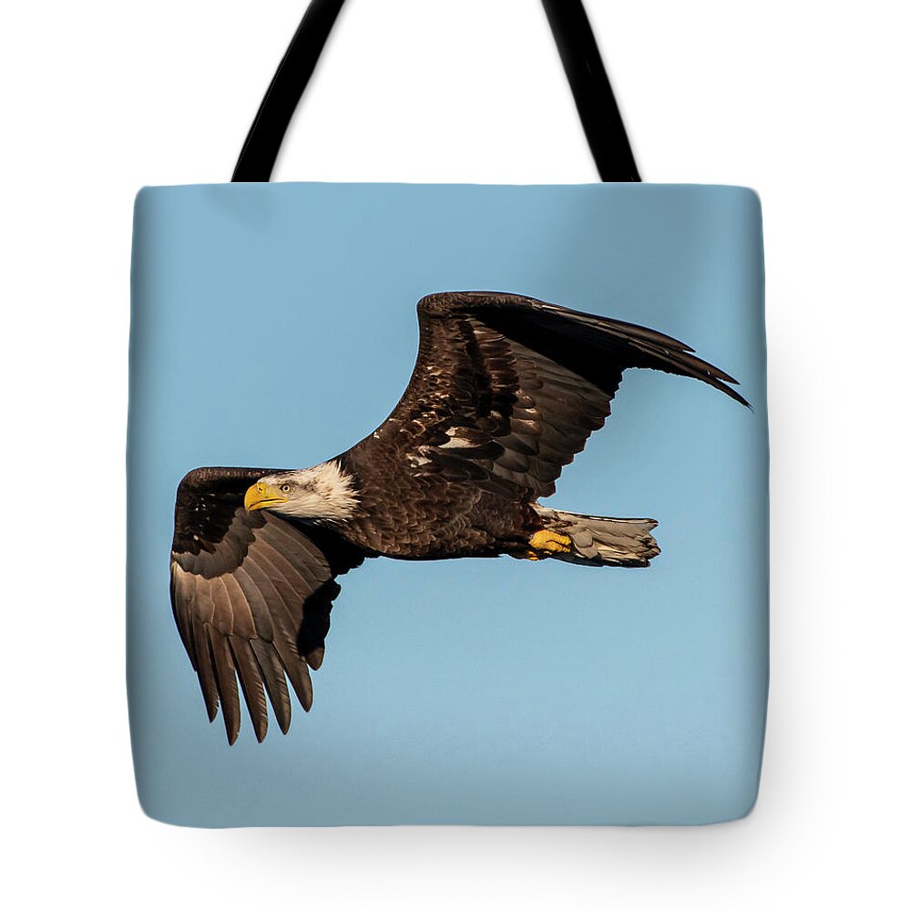 Eagle Tote Bag featuring the photograph Bald Eagle in Flight by Ken Stampfer