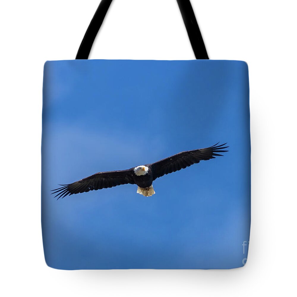 Bald Eagle Tote Bag featuring the photograph Bald Eagle in Majestic Flight by Steven Krull