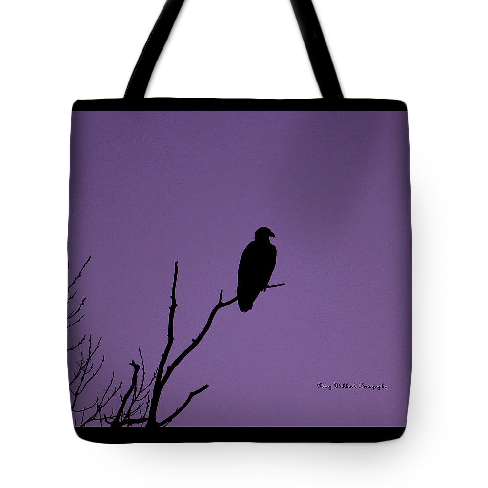 Eagle Tote Bag featuring the photograph Bald Eagle in Silhouette by Mary Walchuck