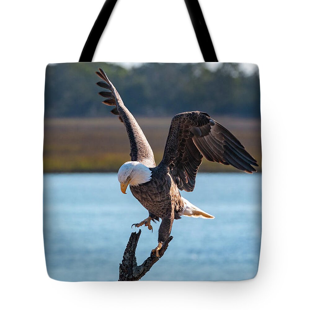 Bald Eagle Tote Bag featuring the photograph Bald Eagle Landing by D K Wall