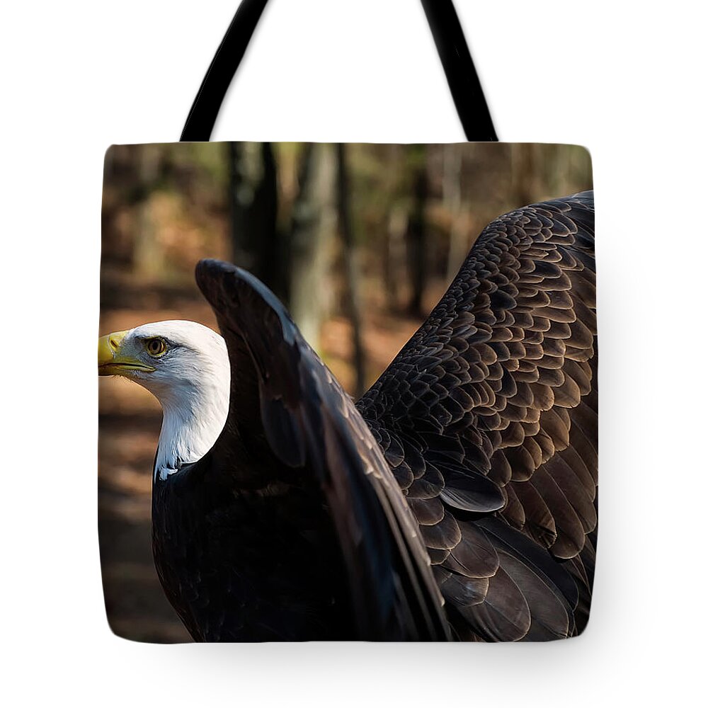 Bald Eagle Tote Bag featuring the photograph Bald eagle preparing for flight by Flees Photos