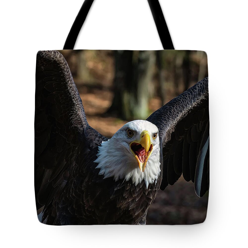 Bald Eagle Tote Bag featuring the photograph Bald eagle protecting its meal by Flees Photos