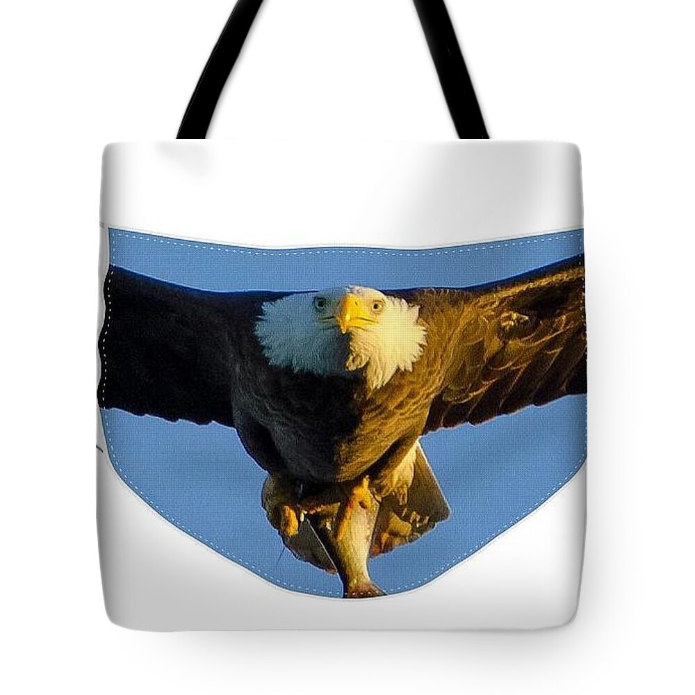 North American Bald Eagle Tote Bag featuring the photograph Bald Eagle Face Mask with Fish by Jeff at JSJ Photography