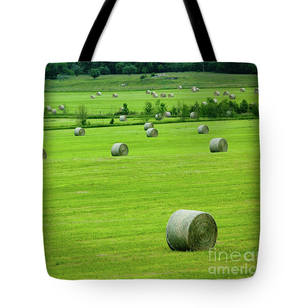 Bales Tote Bag featuring the photograph Bales of Hay in the Field by Rich S