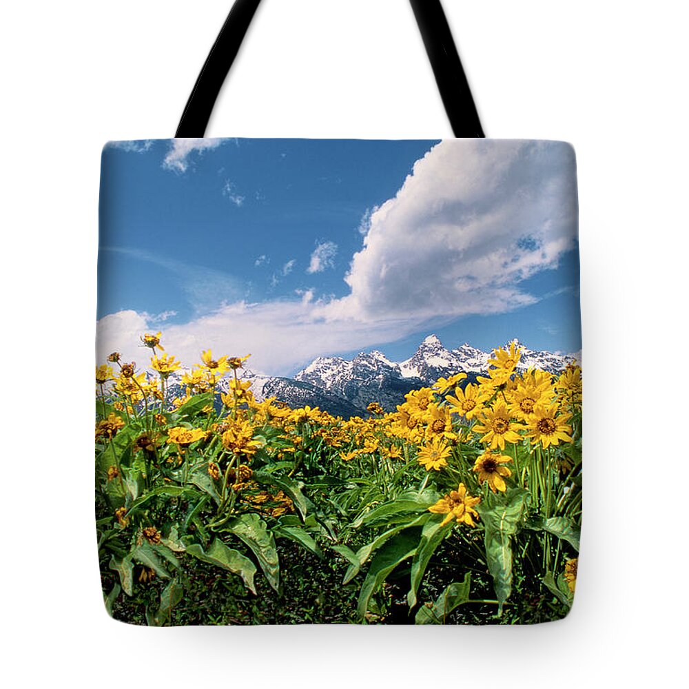Dave Welling Tote Bag featuring the photograph Balsamroot Below The Tetons Grand Tetons Np by Dave Welling