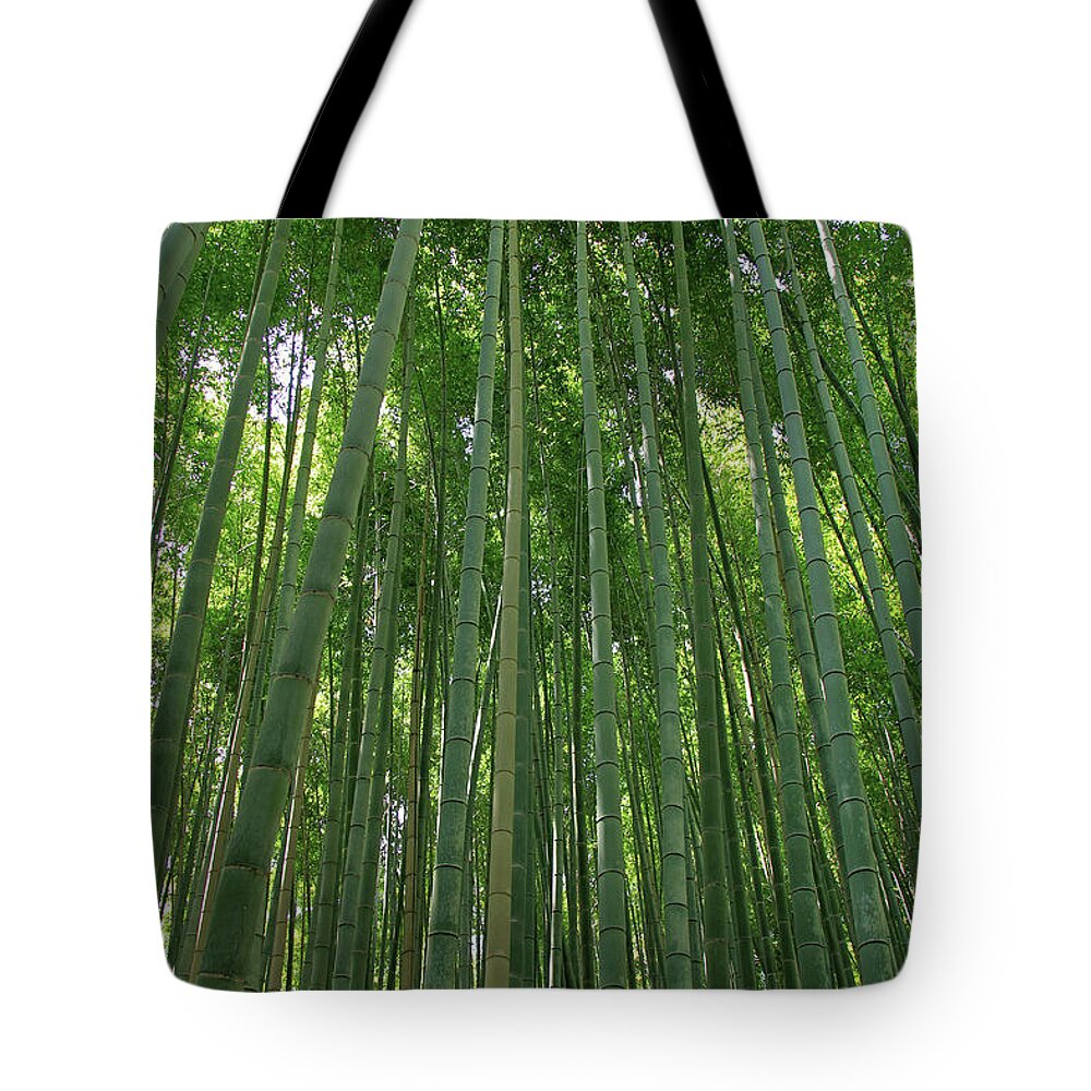 Bamboo Tote Bag featuring the photograph Bamboo Forest - Kyoto, Japan by Richard Krebs
