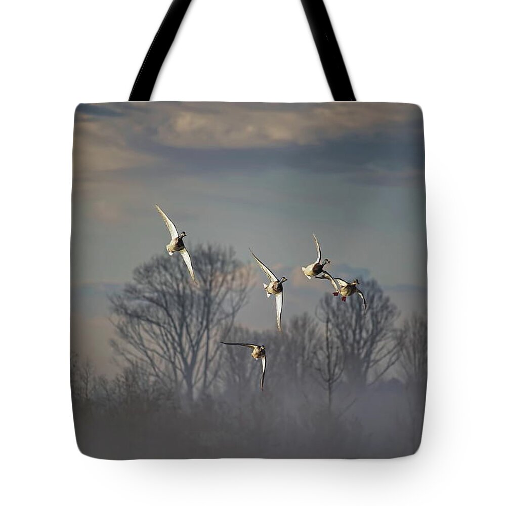 Waterfowl Tote Bag featuring the photograph Banking Mallards by Dale Kauzlaric