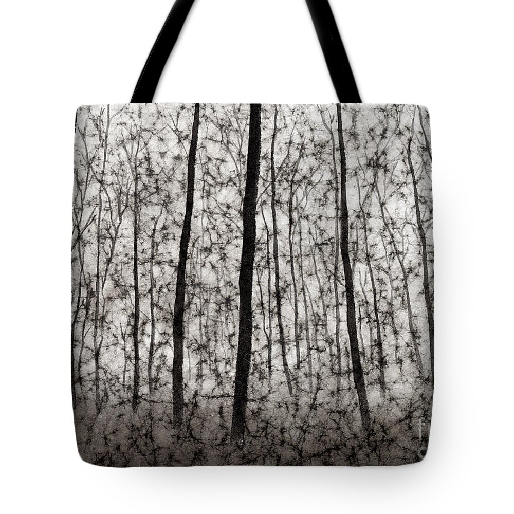 Black And White Tote Bag featuring the painting Bare Forest by Hailey E Herrera