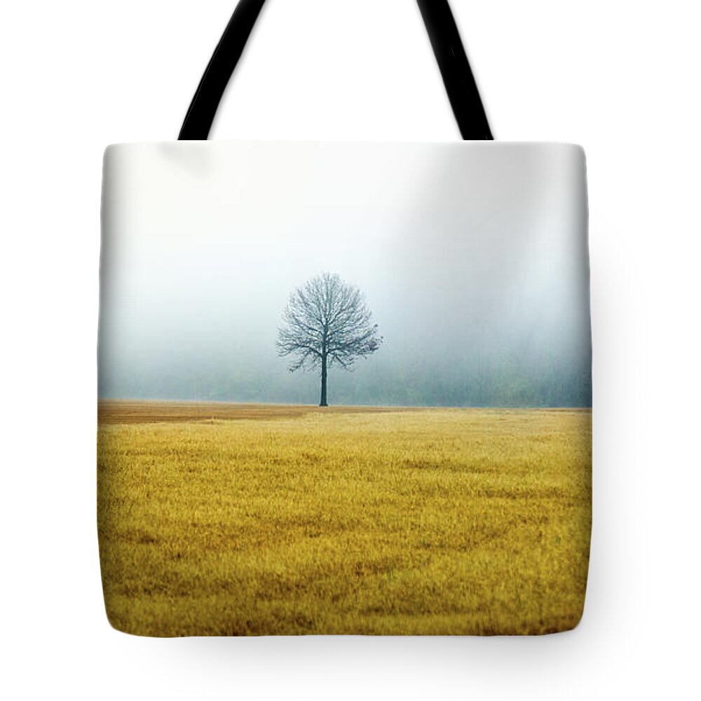 Winter Tote Bag featuring the photograph Bare Trees on Golden Grass by WAZgriffin Digital