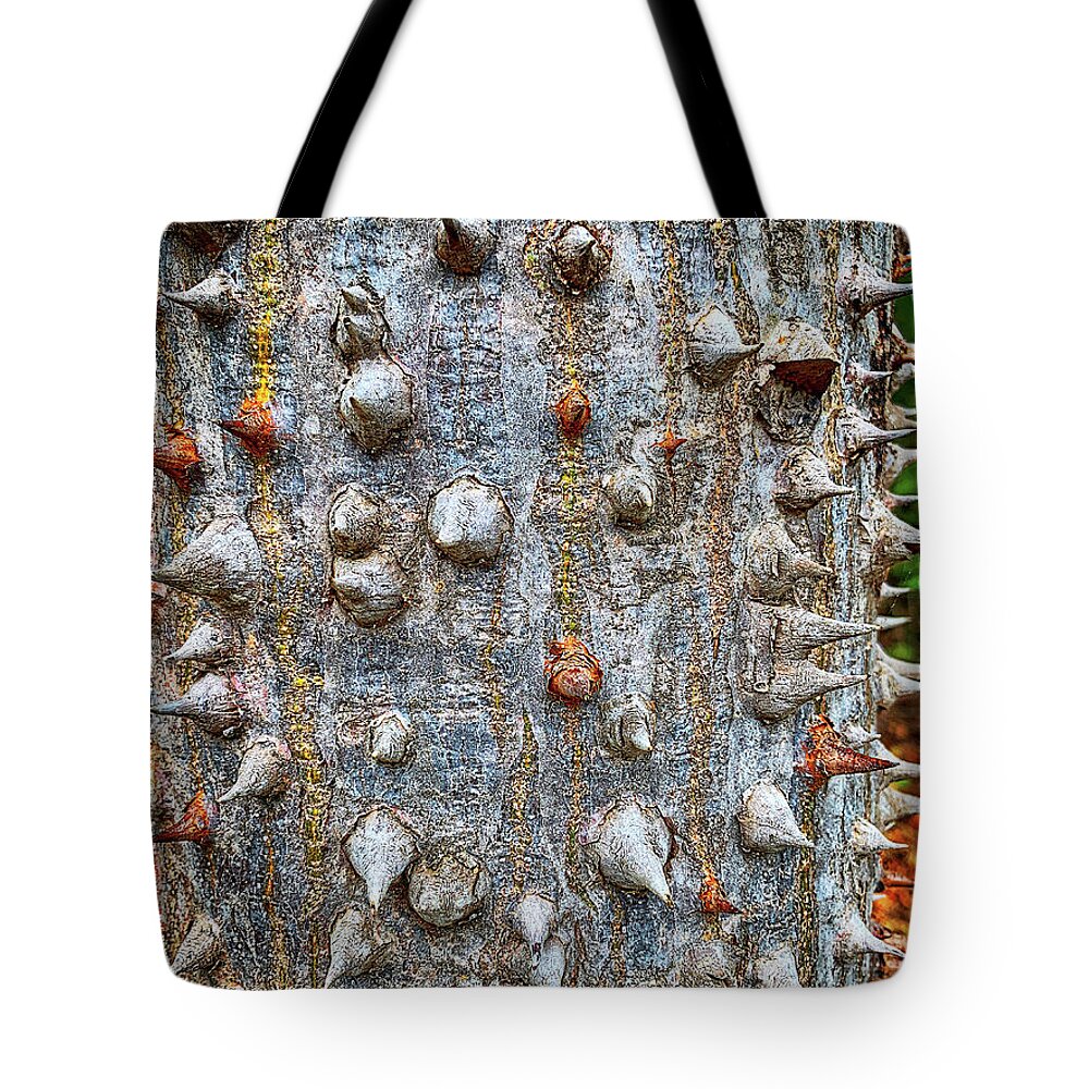 Tree Bark Tote Bag featuring the photograph Bark with a Bite by Jill Love