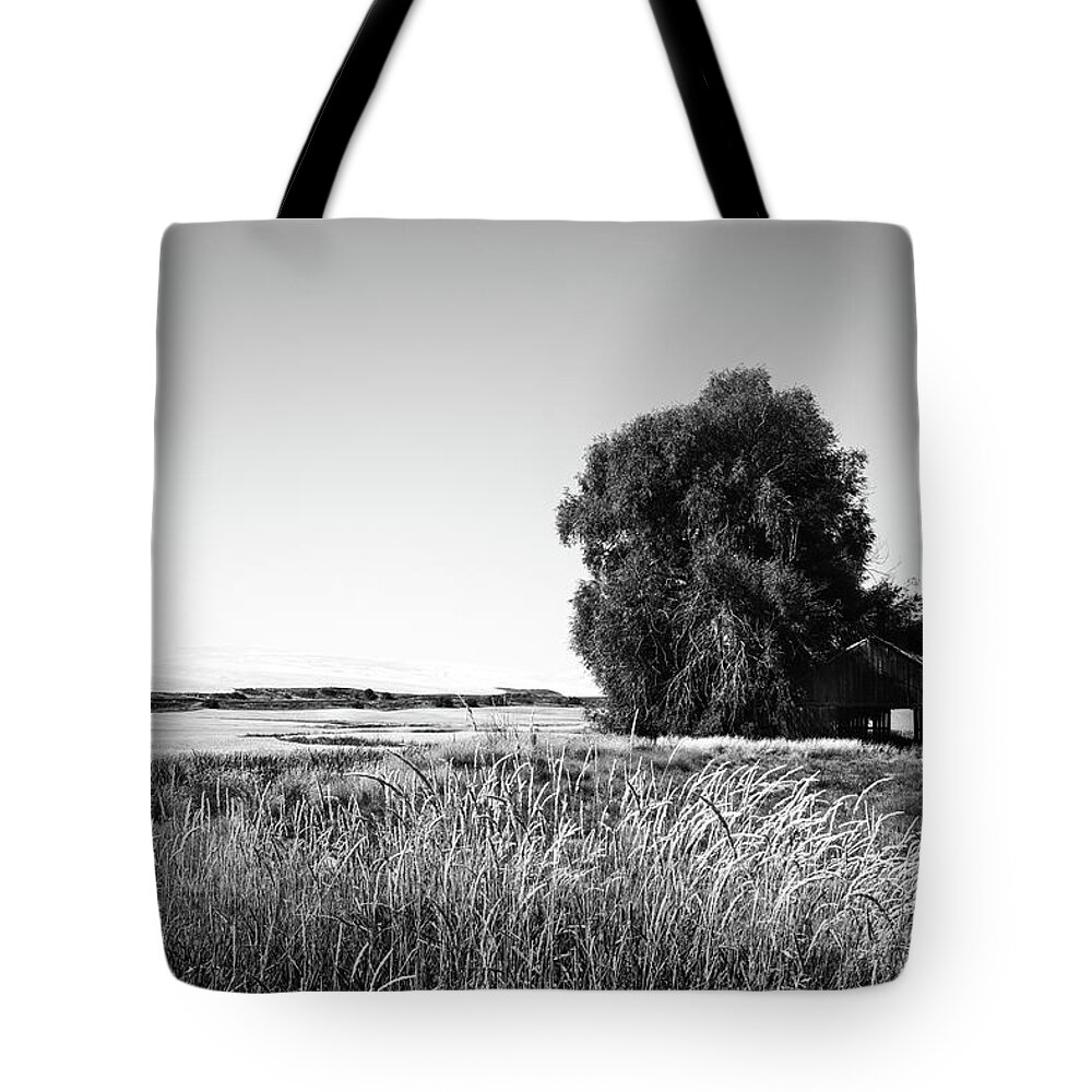 Farm Tote Bag featuring the photograph Barn and Tree in Wheat Field by Connie Carr