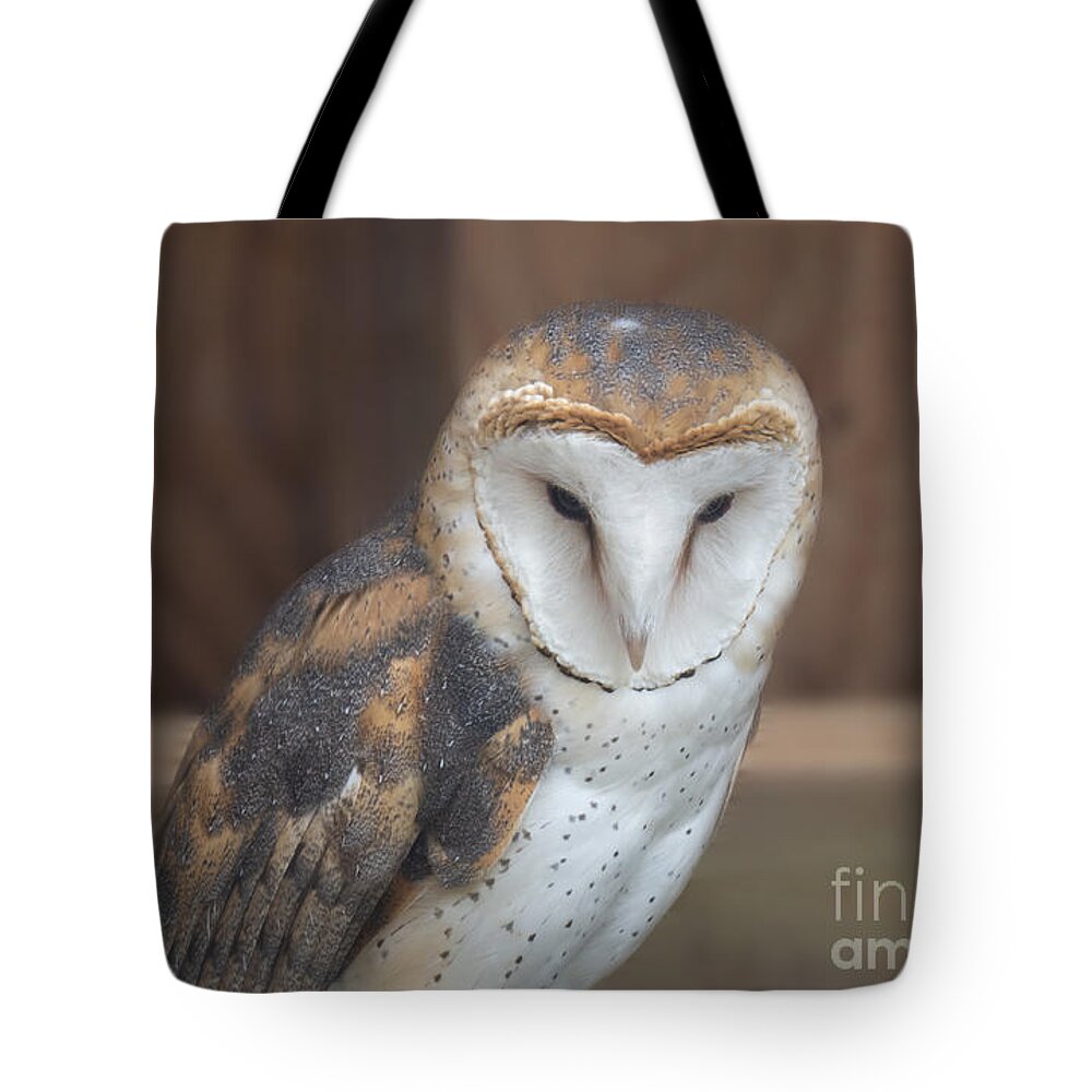 Barn Owl Tote Bag featuring the photograph Barn Owl at Moccasin Lake by L Bosco