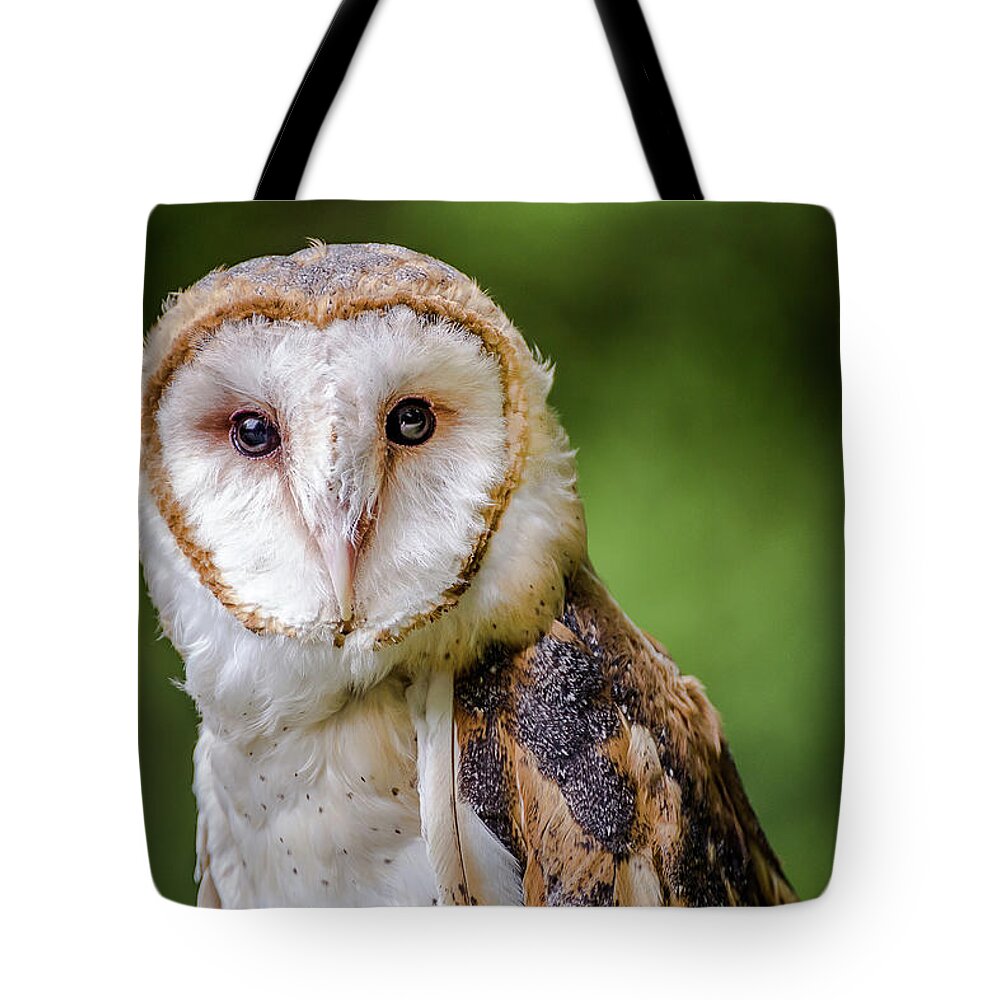 Raptors Owl Hawk Tote Bag featuring the photograph Barn owl eyes by Robert Miller