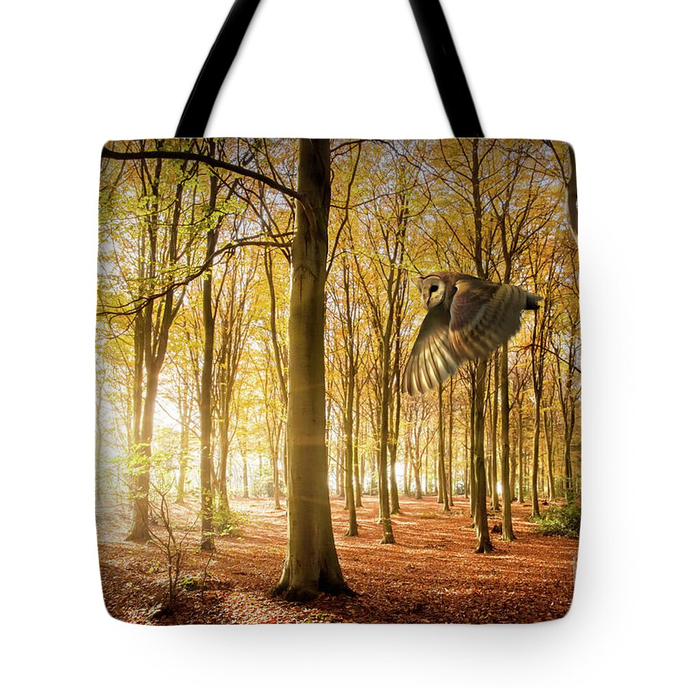 Autumn Tote Bag featuring the photograph Barn owl flying in autumn woodland by Simon Bratt