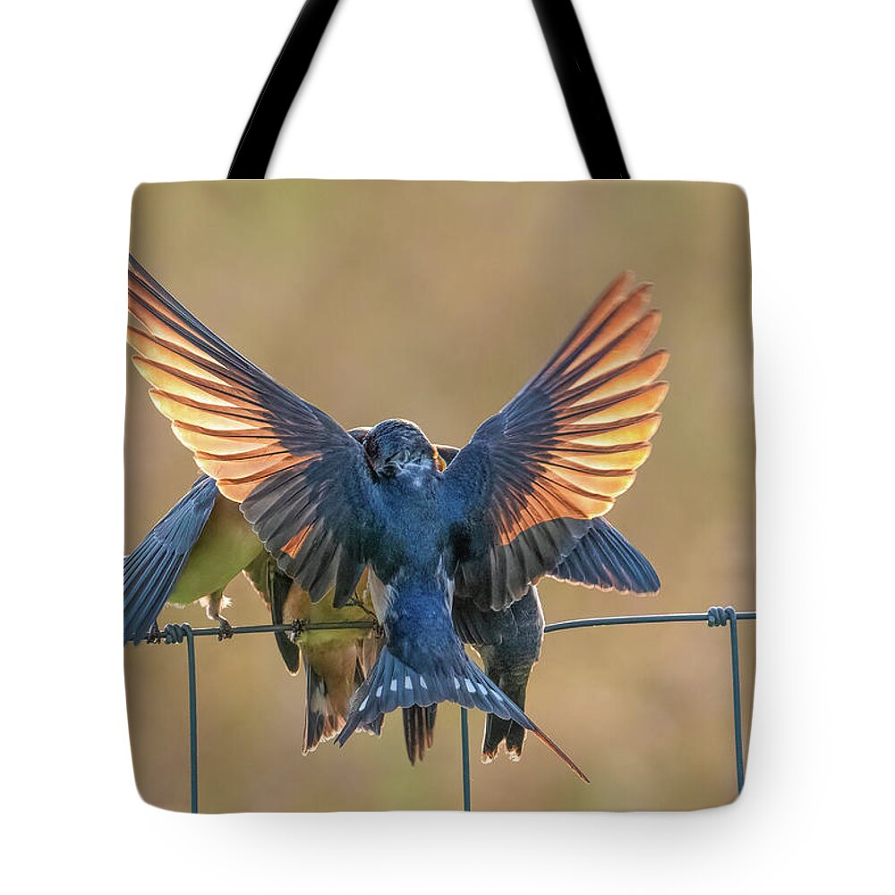 Barn Tote Bag featuring the photograph Barn Swallow Family by Sheen Watkins