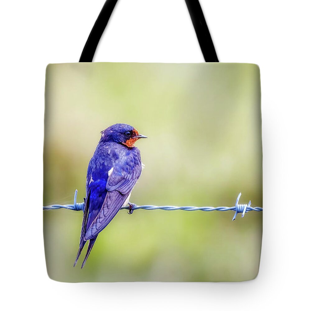 Barn Swallow Tote Bag featuring the photograph Barn Swallow Perched on Barbed Wire by Susan Rissi Tregoning