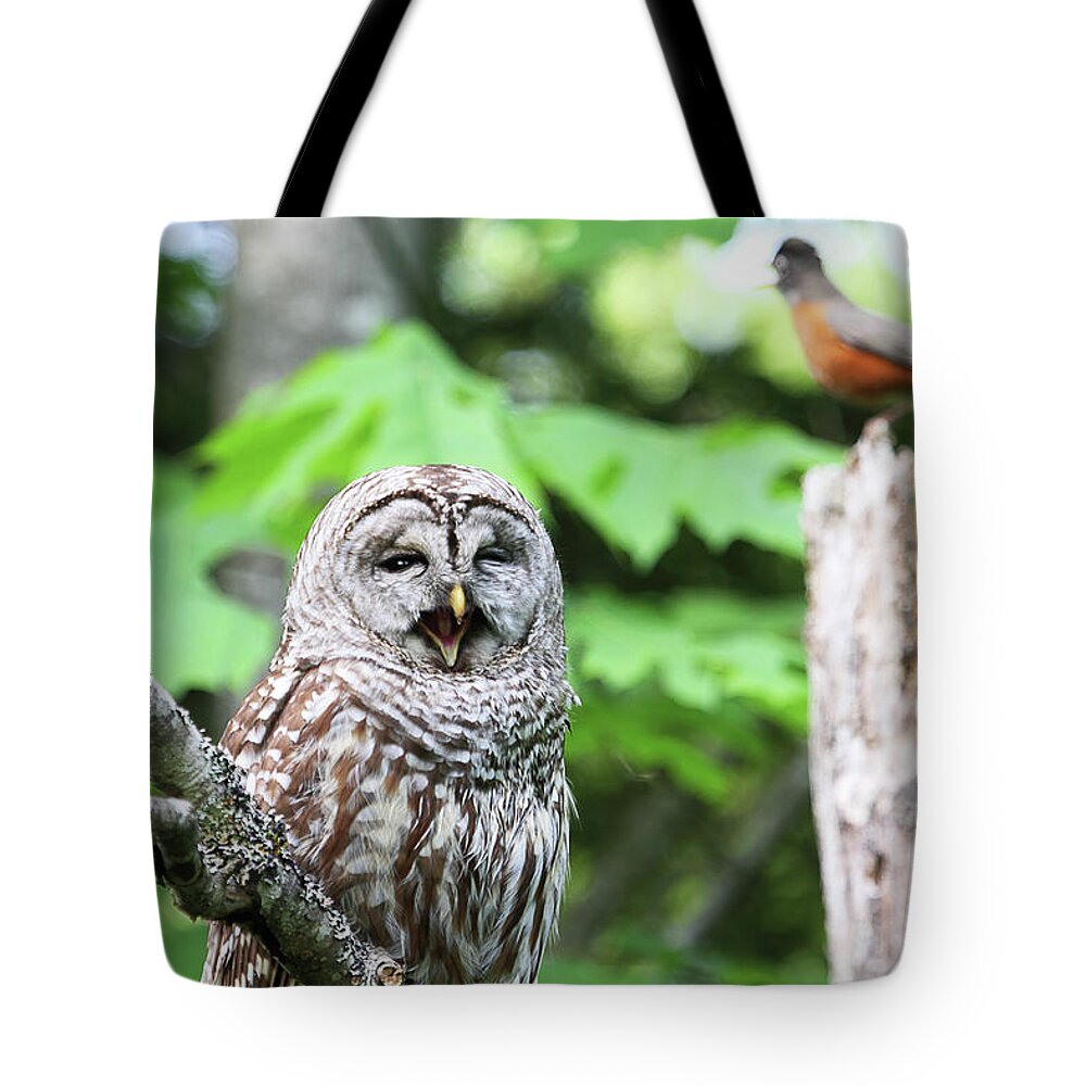 Barred Owl Tote Bag featuring the photograph Barred Owl Yawning by Peggy Collins