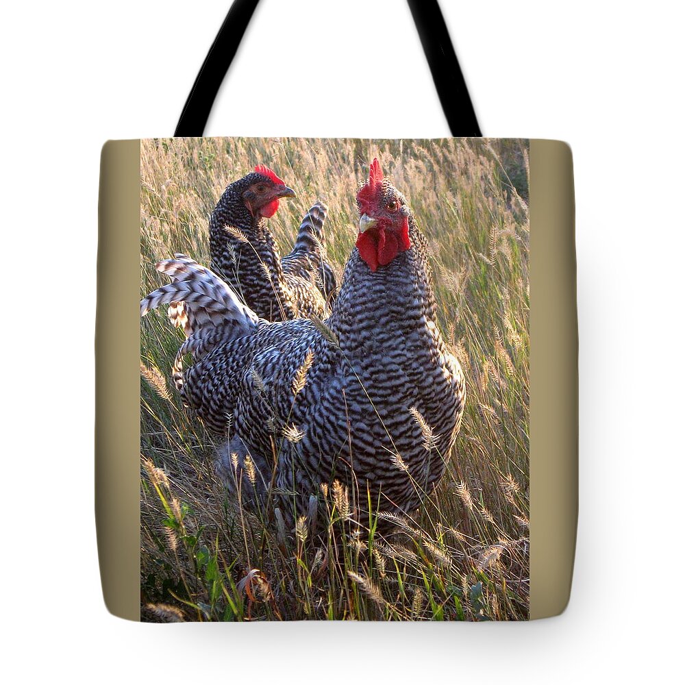 Rooster Tote Bag featuring the photograph Barred Rock Rooster and Hen by Katie Keenan