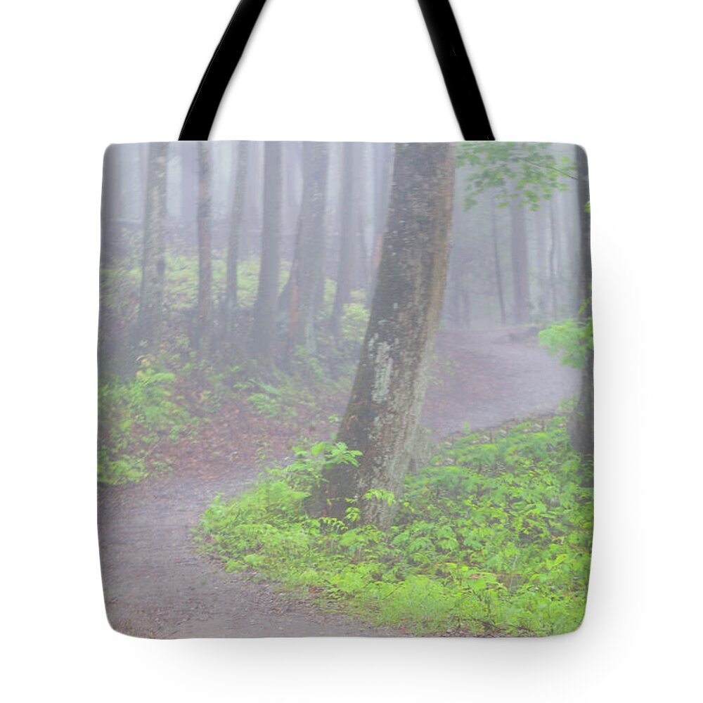 Art Prints Tote Bag featuring the photograph Baskins Creek Trail by Nunweiler Photography